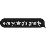 everythings gnarly katseye kpop text message