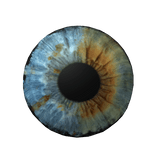 ✅Eye of Double Eye [CODE: double1345]