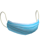 Face Mask (Down)