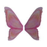 Fairy Diego's Wings of Bravery