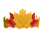 Fall king of the night 
