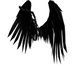 Fallen Angel Wings