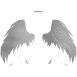Fallen Angel Wings w/ Halo