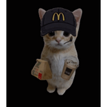 Fast Food Cat Image