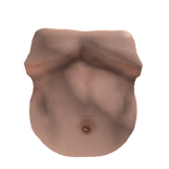 FatBody