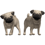Fawn Pug Puppy Dog Duo Waist Pet