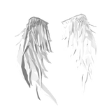 White Feather Purity Wings