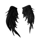 Black Feather Void Wings