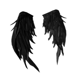 Black Feather Void Wings [Dark]