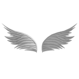 ⛌⛌ feathered angel wings