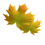 feuille visage