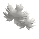 feuille visage
