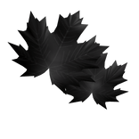 feuille visage