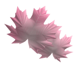 feuille visage