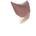 fin