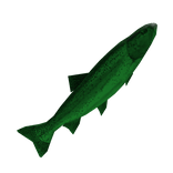 Fish Buddy's Zombie Fish