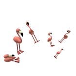 Flamingo Flamingo Flamingo