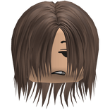 flat messy long emo boy hair w/ face - brown