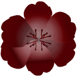 Holdable Flower (Red)