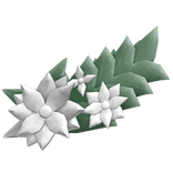 flower druid