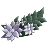 flower druid