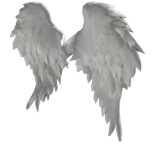 Fluffy Angelic Wings