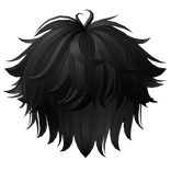 Fluffy Messy Anime Boy Hair Black