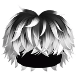 Fluffy Messy Cool Boy Hair (Black to White)
