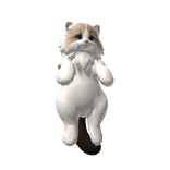 Fluffy Piggyback Cat