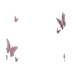 Fluttering Head Butterflies in Pink