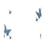 Fluttering Head Butterflies in White