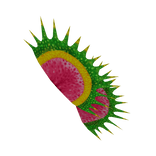 Fly Trap Drag Armpiece - Left