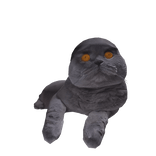 Folk Cat
