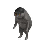 Folk Cat