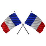 🇫🇷 France Shoulder Double Flag