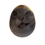 Freaky Egg Cat