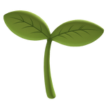 fresh green sprout in sunlight