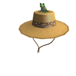 Frog on Straw Hat