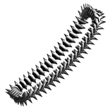 Front White Bone Spine Belt [R]