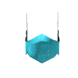 Frost guard face cover