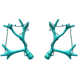 Frozen Reindeer Antlers