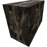 [⌛] funny cat meme box