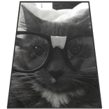 funny Glasses Cat Cape