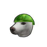 Funny Watermelon Dog Meme 