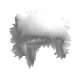 Fuzzy Raccoon Winter Ushanka