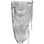 Gaian Sorcerer Distressed White Rune Cape