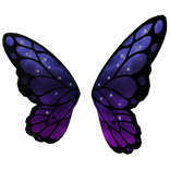 Galaxy Butterfly Wings