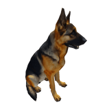 German Shepard Dog Left Shoulder Pet