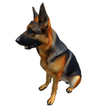 German Shepard Dog Right Shoulder Pet