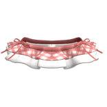 Gingham Spring Cutesy Kawaii Strawberry Skirt